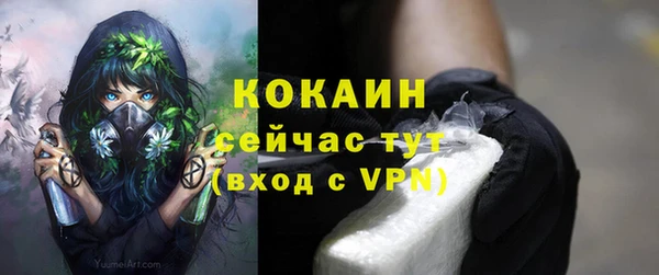 молекула духа Зеленокумск