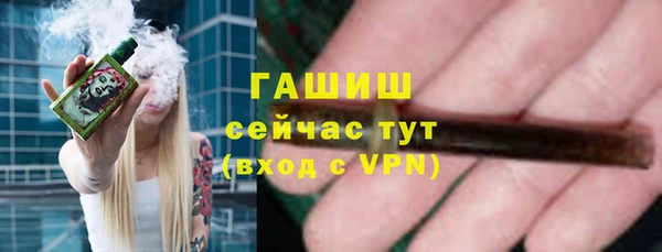 PSILOCYBIN Ельня