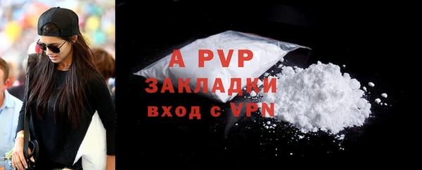 молекула духа Зеленокумск