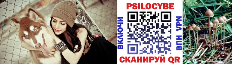 Галлюциногенные грибы прущие грибы  Белая Калитва 