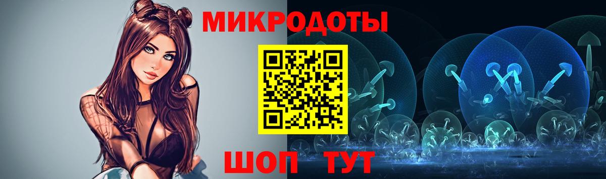 Галлюциногенные грибы Psilocybe Белая Калитва