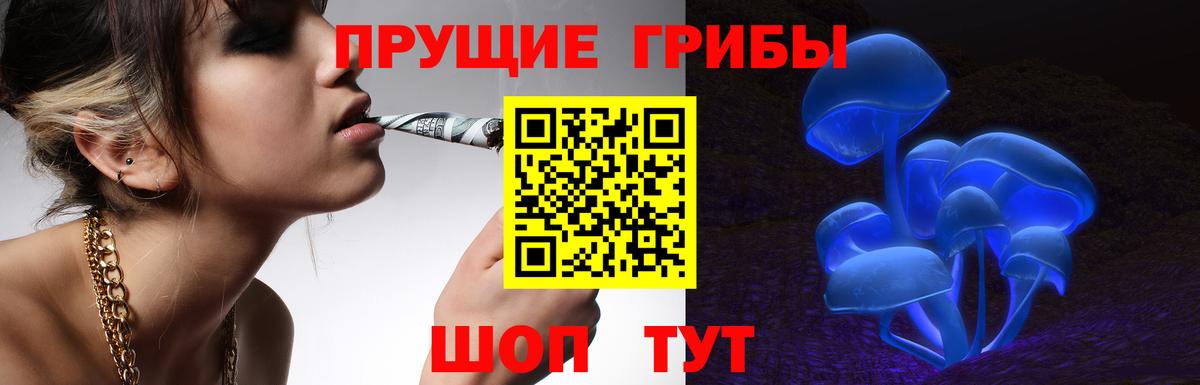 Псилоцибиновые грибы GOLDEN TEACHER  Белая Калитва  Псилоцибиновые грибы мицелий 