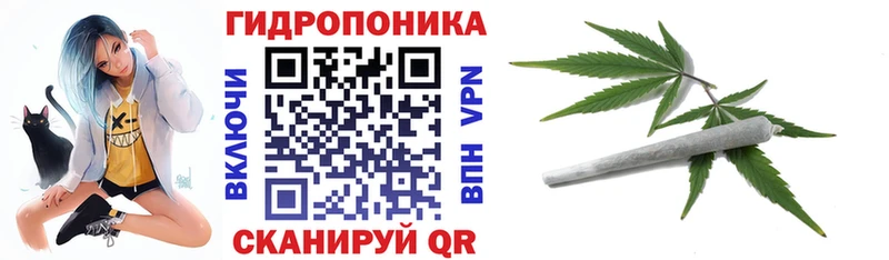 Бошки Шишки семена Белая Калитва